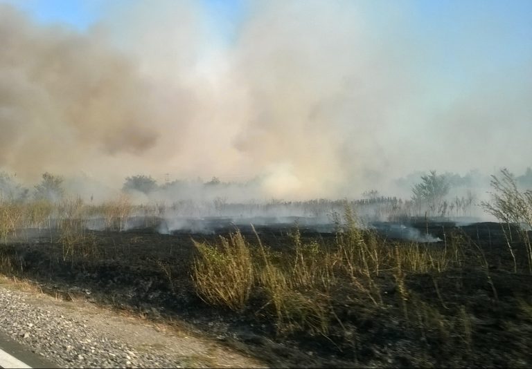 Жагубица: Избио пожар на врху Здравча