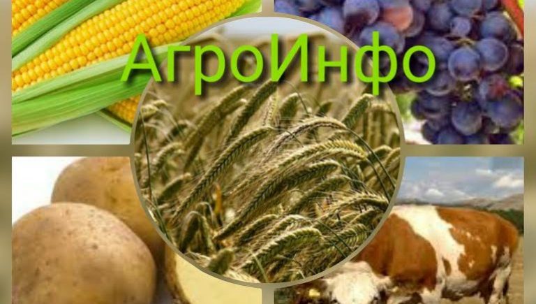 АГРО ИНФО: Зимска резидба воћака