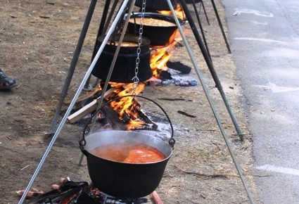 „Аласке вечери“ – традиција лепоте, богатства и снаге Дунава