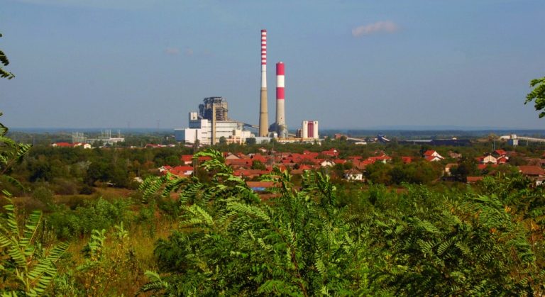 РЕКУЛТИВАЦИЈА НА КОПУ „ДРМНО“ : Нови засади