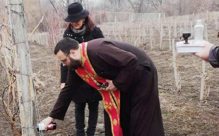 ПОЉОПРИВРЕДА: Лоза најосетљивија током пролећа и јесени