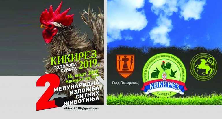 Изложба ситних животиња у Касидолу