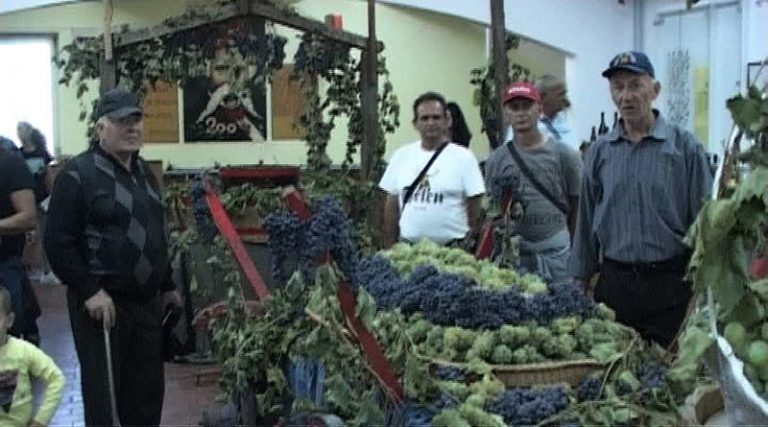 Голубачки виноградари на „Жупској берби“