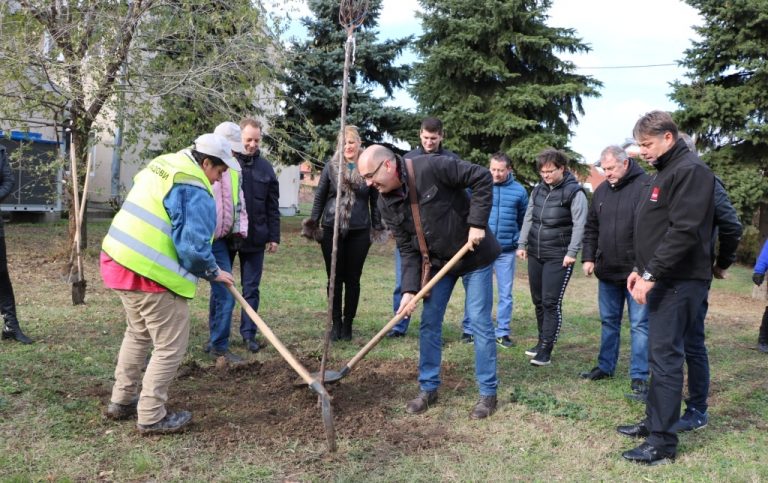 Нових 20 садница вртићу „Бубамара“