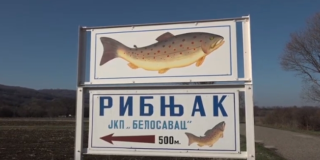 ХОМОЉСКИ РИБЊАЦИ: Велика потражња за Божићни пост
