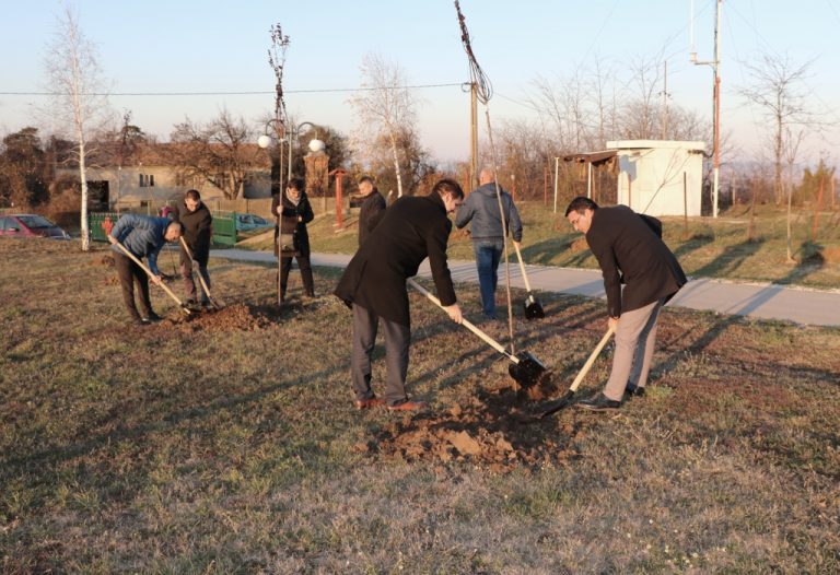 Наставили акцију пошумљавања Пожаревца