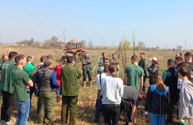 Практична знања за зеленију околину