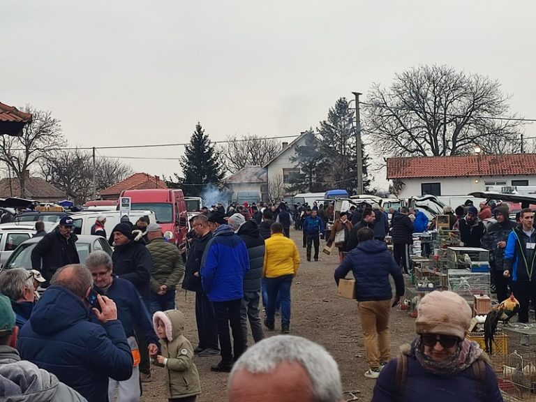 У Пожаревцу, 17. августа, летња берза ситних животиња