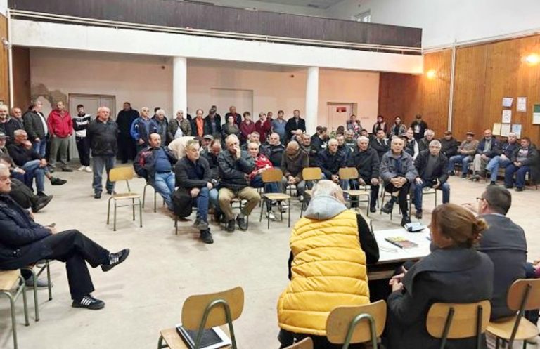 О проблему топлификације Петке