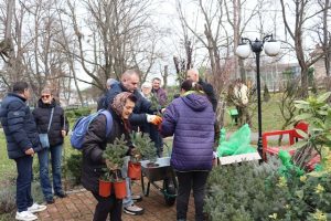 У Великом Градишту: Подељено скоро четристо садница