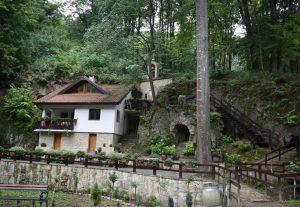 Већи степен заштите Споменика природе код Тумана