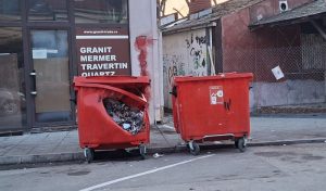 Горео контејнер у Улици Вељка Дугошевића