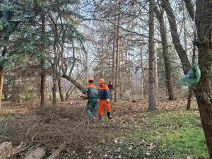 Комуналне службе Пожаревац: Уређује се Чачалица