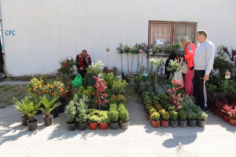 Проглашени победници 22. Фестивала цвећа и меда у Кусићу