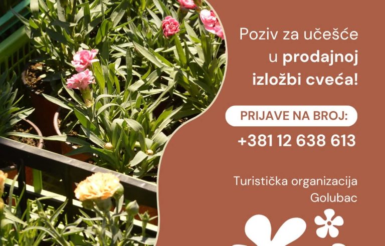 У Голупцу заказан Фестивал цвећа