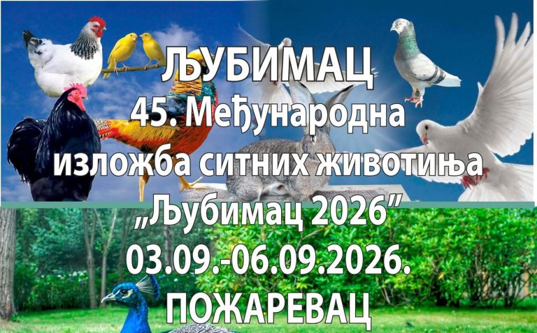 Од 3. до 6. септембра Међународна изложба „Љубимац“