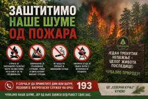 Неопходан највиши степен пажње и одговорности према шумама