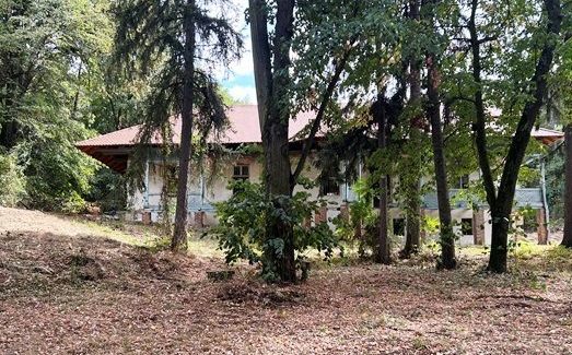 Краљевски сјај поново у Нересници