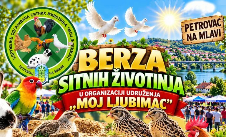 Петровац на Млави: У недељу Берза ситних животиња